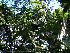 DSCF2810.JPG
