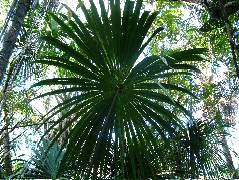 DSCF2811.JPG