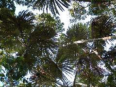 DSCF2812.JPG