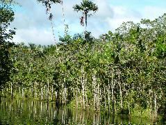 DSCF2814.JPG