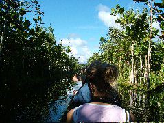DSCF2815.JPG