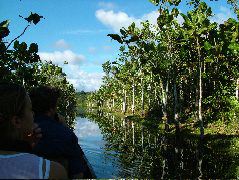 DSCF2817.JPG
