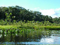 DSCF2822.JPG