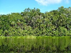 DSCF2823.JPG