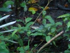DSCF2832.JPG