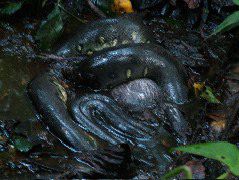 DSCF2835.JPG
