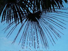 DSCF2848.JPG