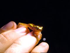 DSCF2851.JPG