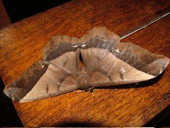 DSCF2853.JPG