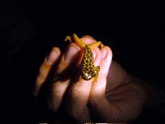 DSCF2855.JPG