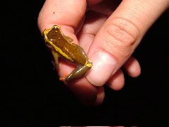 DSCF2859.JPG