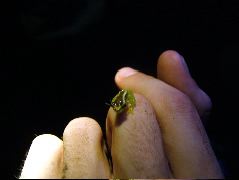 DSCF2860.JPG