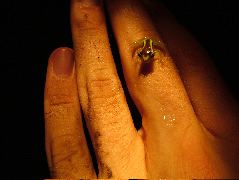 DSCF2861.JPG
