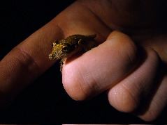 DSCF2863.JPG