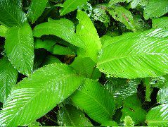 DSCF2869.JPG