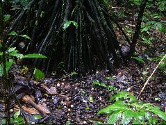 DSCF2873.JPG