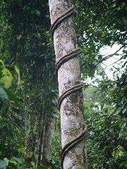 DSCF2880.JPG