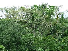 DSCF2887.JPG