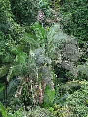 DSCF2890.JPG