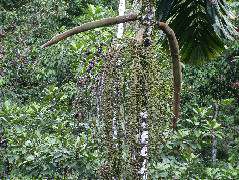 DSCF2891.JPG