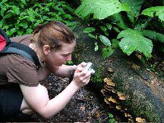 DSCF2894.JPG