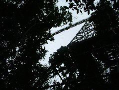 DSCF2895.JPG