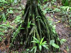 DSCF2900.JPG
