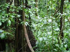 DSCF2901.JPG
