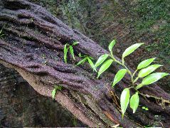 DSCF2903.JPG