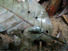 DSCF2906.JPG