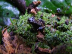 DSCF2910.JPG