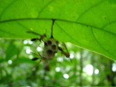 DSCF2912.JPG