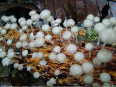 DSCF2915.JPG