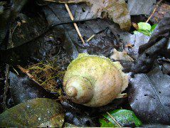 DSCF2917.JPG