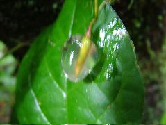 DSCF2920.JPG