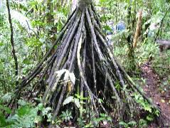 DSCF2921.JPG