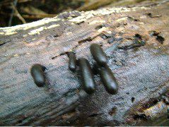 DSCF2928.JPG