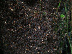 DSCF2930.JPG