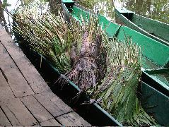 DSCF2932.JPG