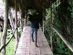 DSCF2934.JPG