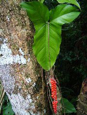DSCF2936.JPG