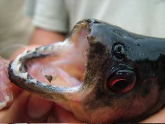 DSCF2937.JPG