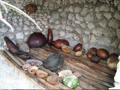 DSCF2551.JPG