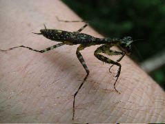 DSCF2944.JPG