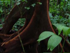 DSCF2948.JPG