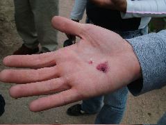 DSCF2552.JPG