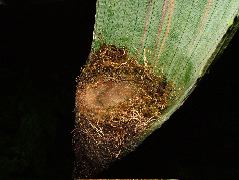 DSCF2958.JPG