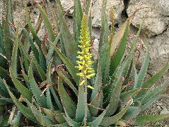 DSCF2553.JPG