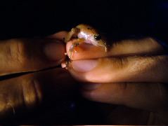 DSCF2962.JPG