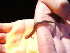 DSCF2963.JPG